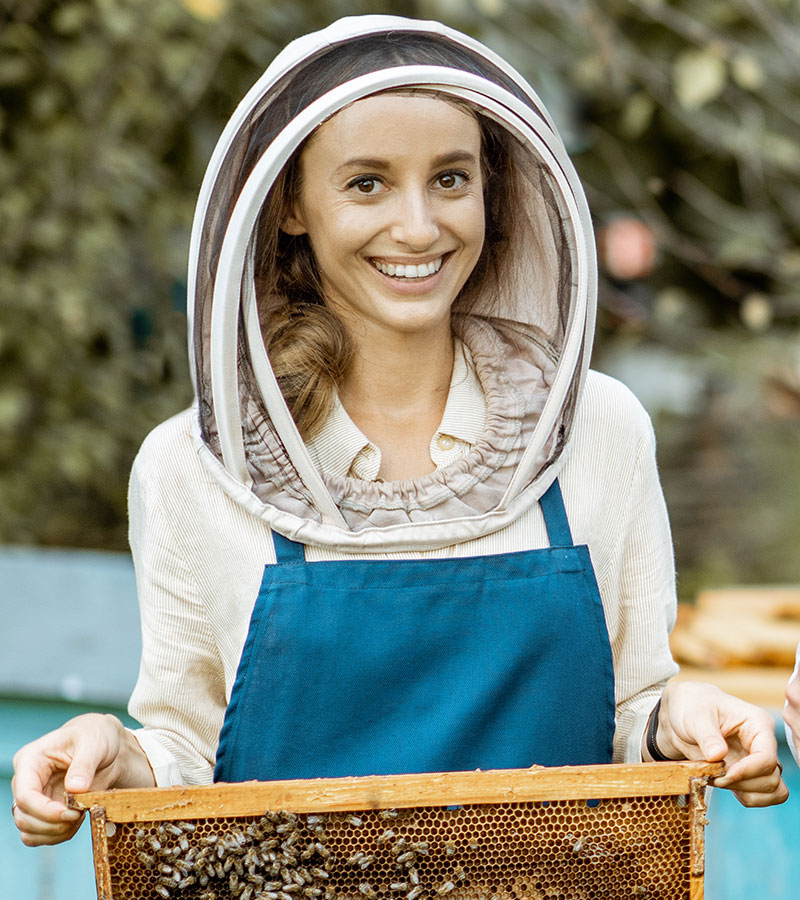 beekepers-with-honeycombs-on-the-apiary-3DPKZZX.jpg